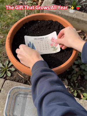 A Calendar That Keeps Growing